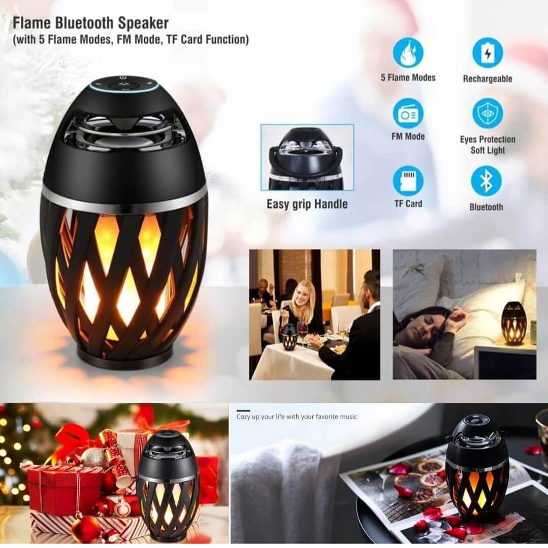 FlikkerVlam Speaker