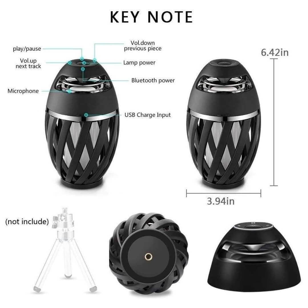 FlikkerVlam Speaker