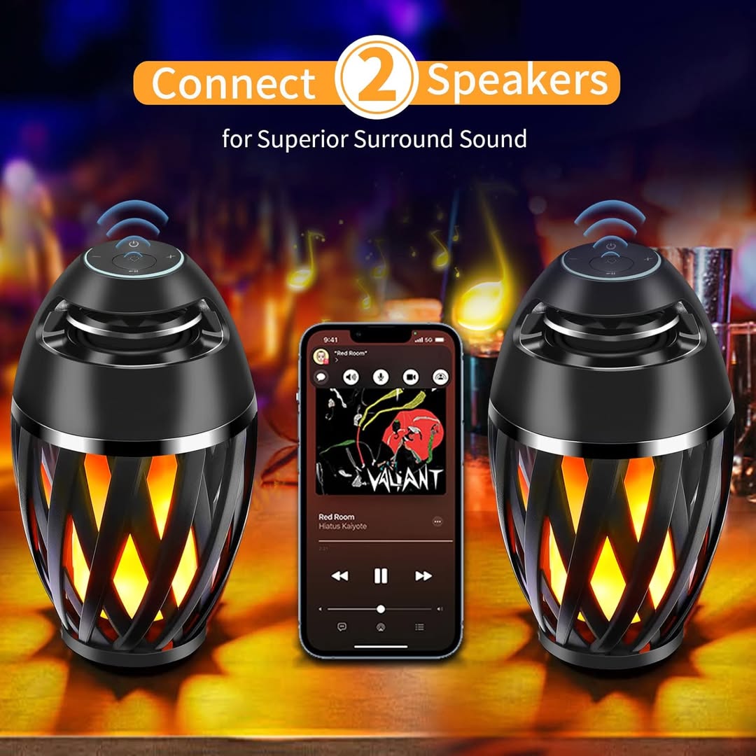 FlikkerVlam Speaker