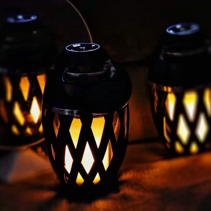 FlikkerVlam Speaker