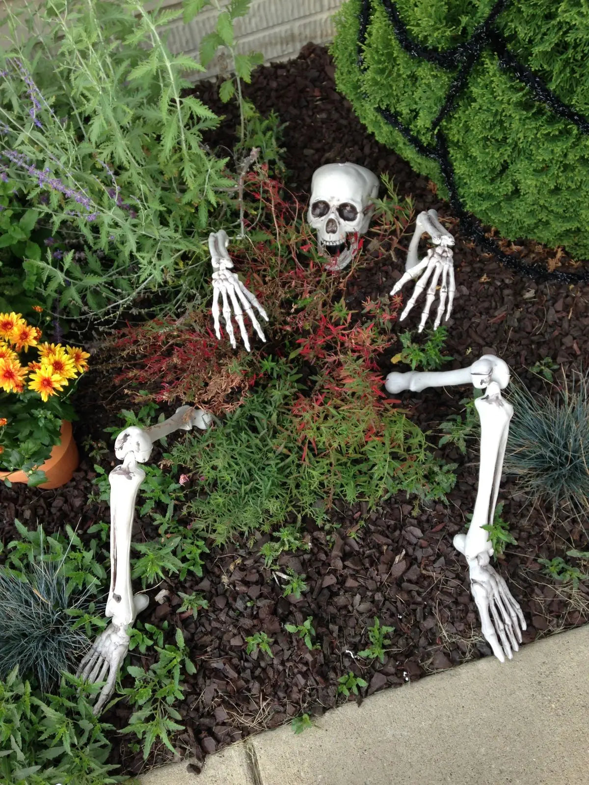 Halloween decor Skeleton Stakes Halloween Realistic Skull Skeleton Head Human Hand Arms for Halloween Party Home Garden Lawn